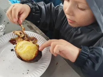 16203667-c10e-4a7d-8aa5-9eb775b8205e