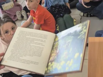 messenger_creation_03a3099b-bbd7-4435-a905-fad6fff91637