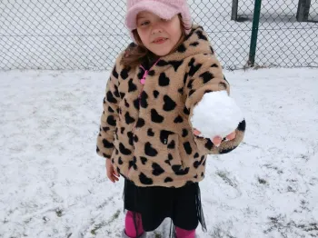 spi8 op luty 2026 (4)