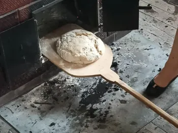 cce7f20e-b030-4e83-be17-928e68b1b692