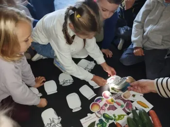 fd2688b0-475c-4cf9-9a7c-c23f41682082