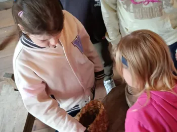 45145e9c-e6c0-448c-9da5-a3675d212f58