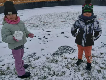 spi8 op luty 2026 (24)