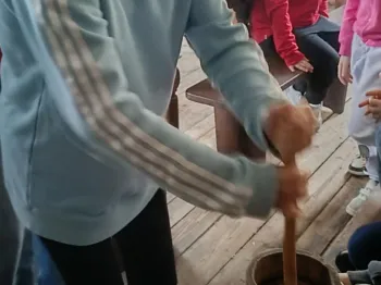 cb0f492a-ebf2-43b6-a44a-73ce1658b077