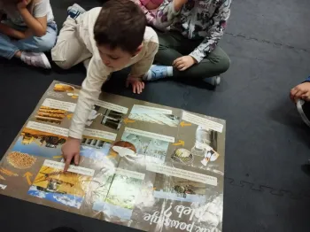 d1557da6-37b5-4bef-a747-12fac00954fa