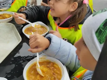 9c7dc9f7-a30e-4f9d-990f-3b78352d5ba5