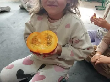 1e87c365-ca02-4804-b27e-e5e9761ec693