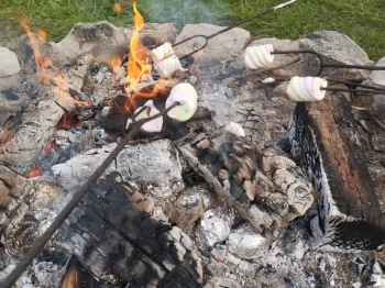 c56c9884-b8a9-4112-85fe-23f60f335c70