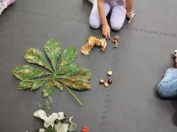 49e2ae80-38f8-4278-bfc5-6174951860bc