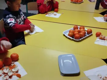 spi8 op grudzień 2025 (24)