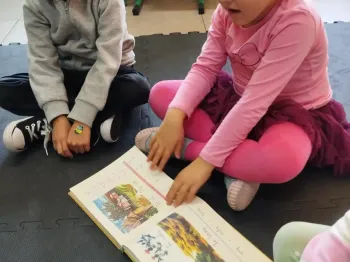 1813cac3-70db-4cee-8d8e-127c1e743905