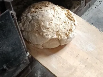 b9cfefc6-2585-455e-88d5-108c0120679c