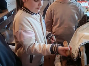 4bae15b6-d416-4249-8abb-00e78d903b93